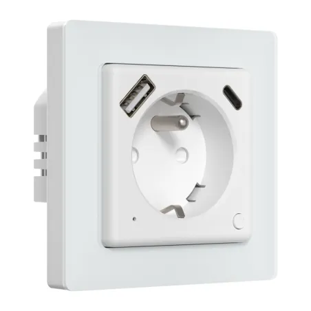 Smart Outlet Avatto WOT20-FR